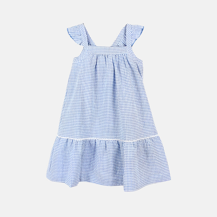 Blue Gingham Dress