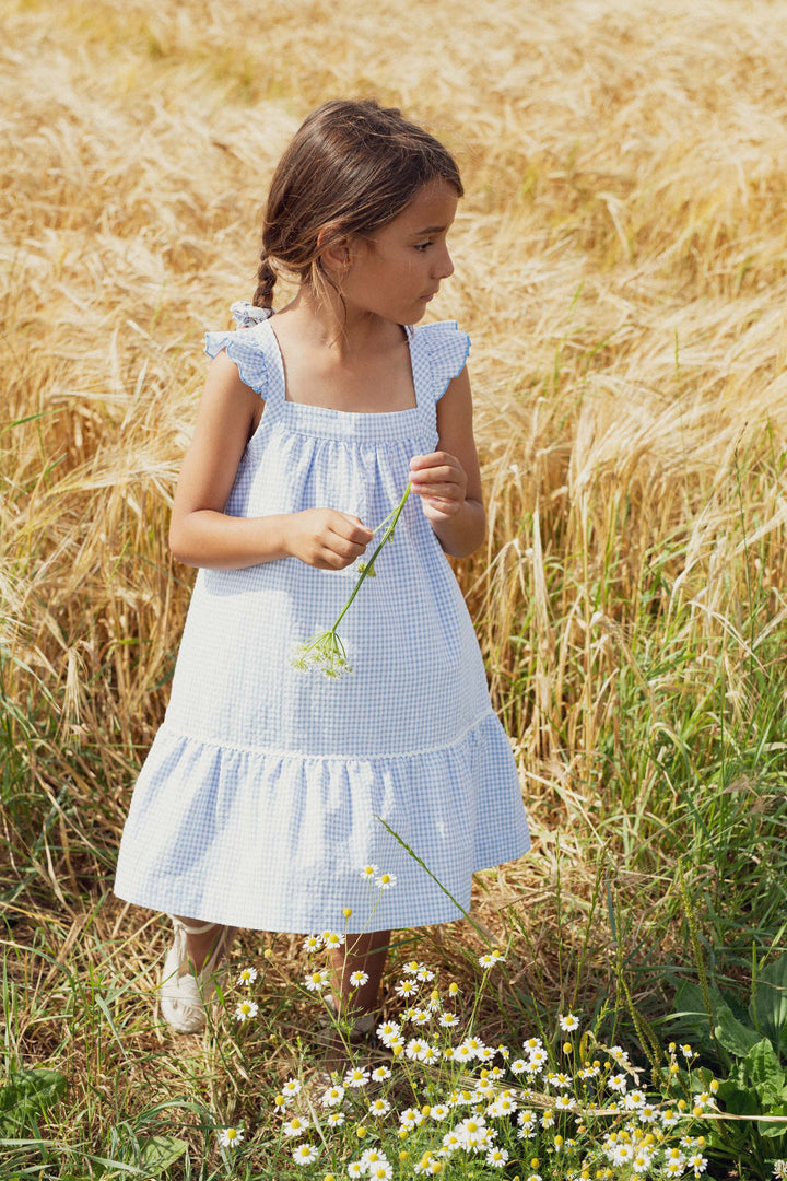 Blue Gingham Dress